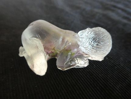 bébé avec fleurs de spirée ( vendu)