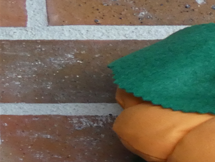 citrouilles à retrouver sur la boutique