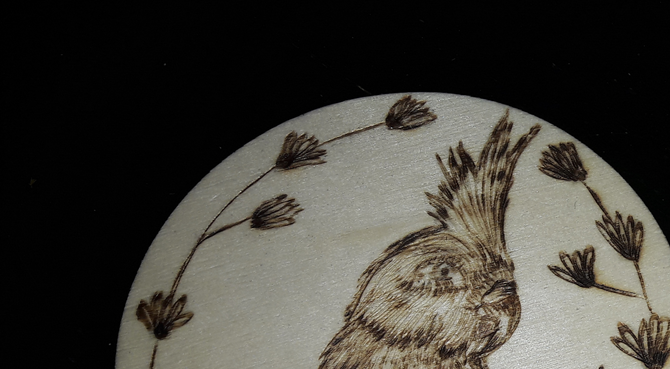 série oiseaux