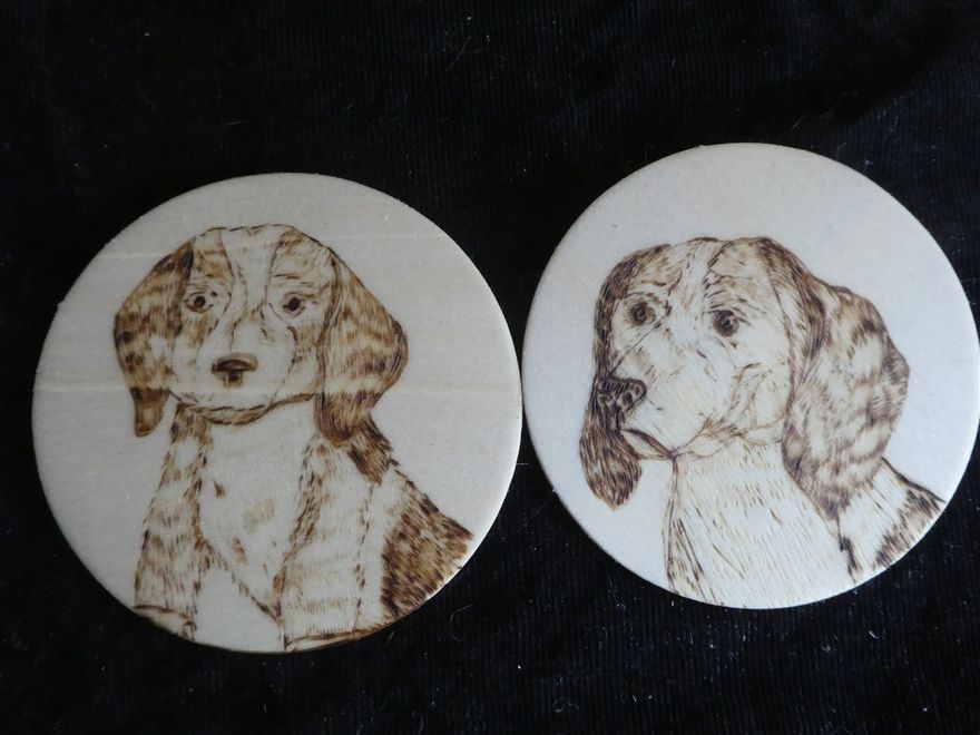 Les beagles