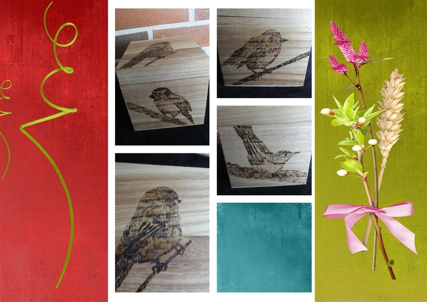 Boîte oiseaux du jardin