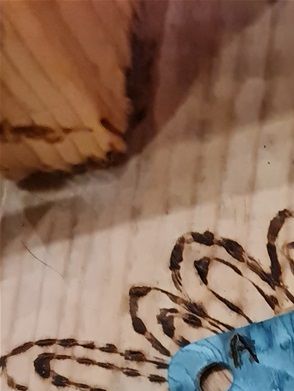 cartes dites aussi tablettes pour tissages en bois