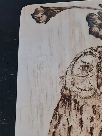 chouette hulotte pyrogravée d'après une photo . tous droits réservés