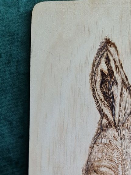 âne pyrogravé  d'après une photo . tous droits réservés